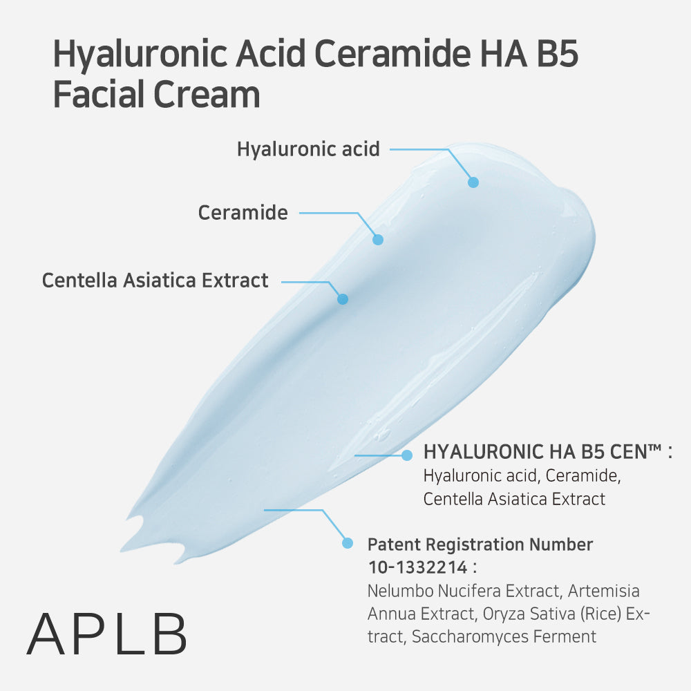 Hyaluronic Acid Ceramide HA B5 Facial Cream - Κρέμα Προσώπου για Βαθιά Ενυδάτωση και Επανόρθωση