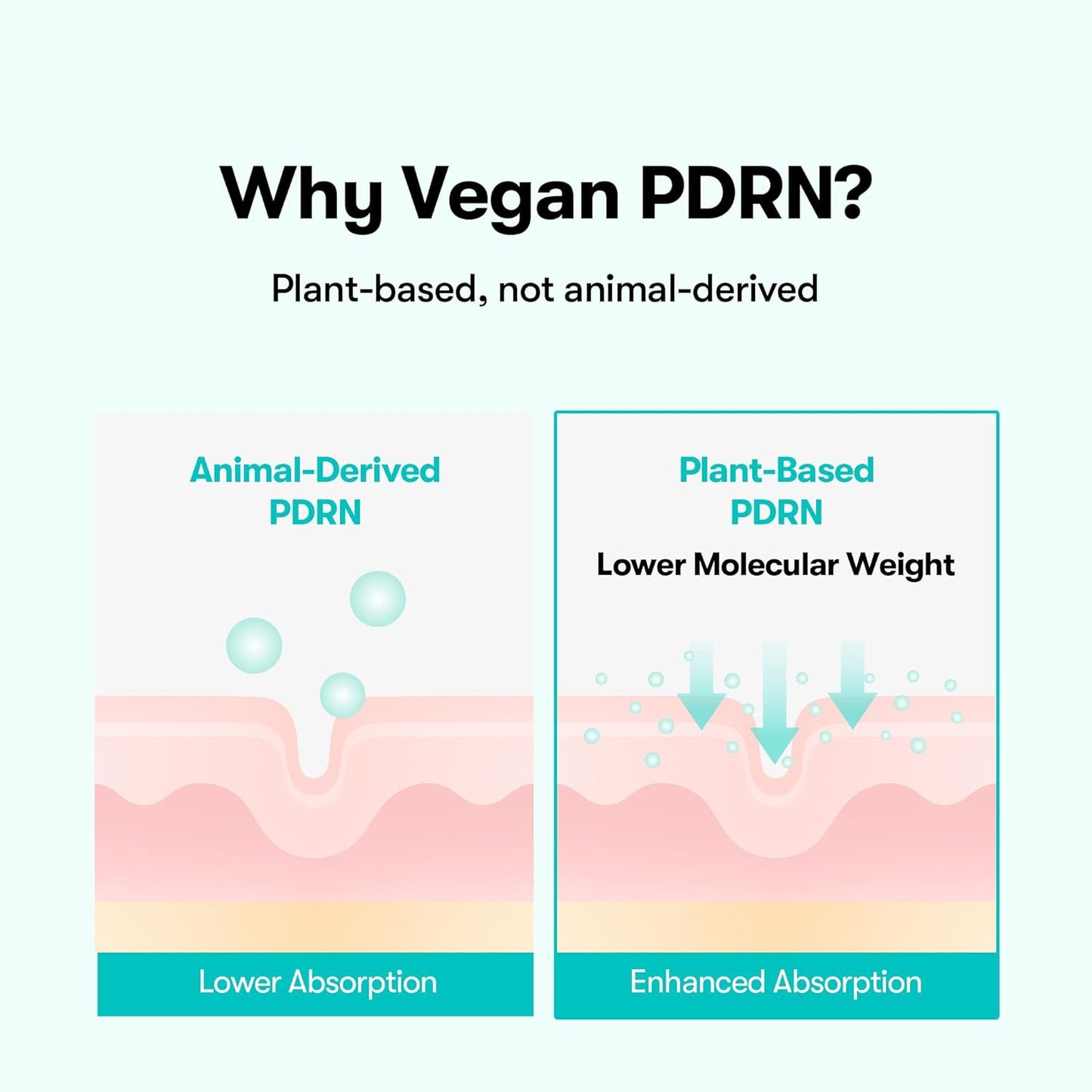 PDRN Glow Ampoule – Spray Λάμψης & Ενυδάτωσης με Vegan PDRN & Κεραμίδια