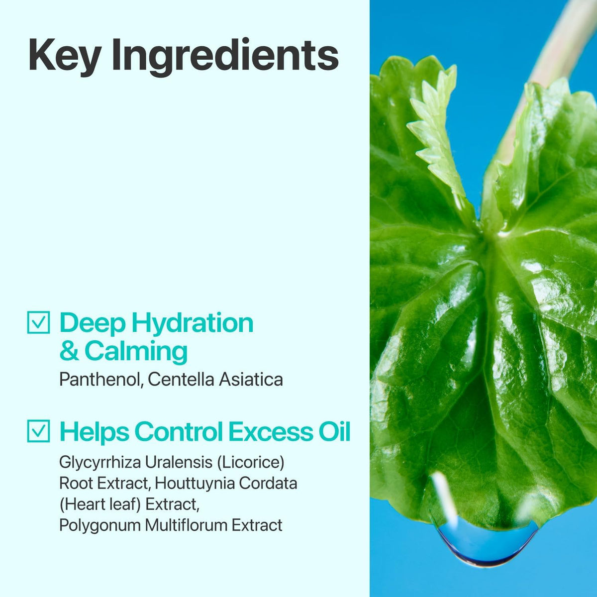 No.1 Pure-Full Calming Herb Toner – Καταπραϋντική Λοσιόν Προσώπου για Ατέλειες & Λιπαρότητα με Centella & Heartleaf