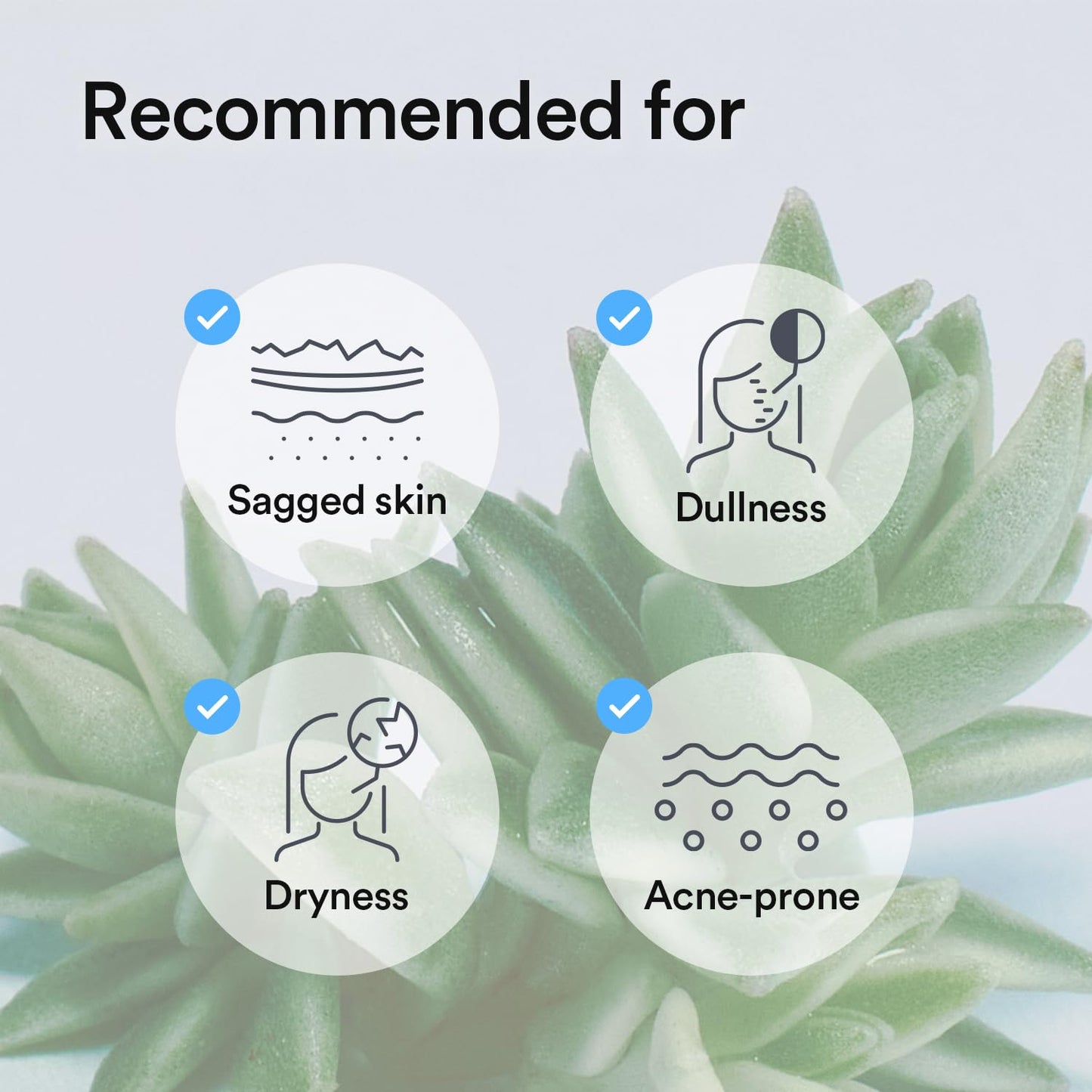 Collagen Gel Mask Sedum Jelly - Μάσκα Προσώπου για Βαθιά Ενυδάτωση και Λάμψη