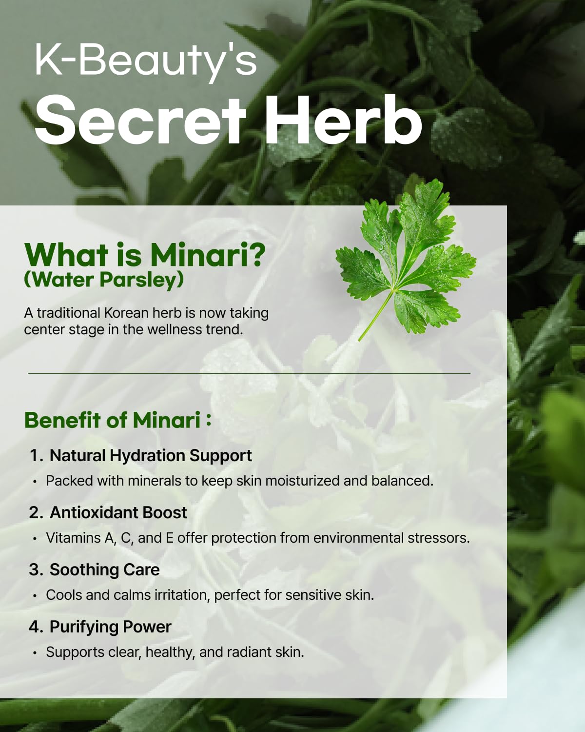 Minari Calming Gel Serum -  Ελαφρύ Serum για Καθαρή & Λεία Επιδερμίδα