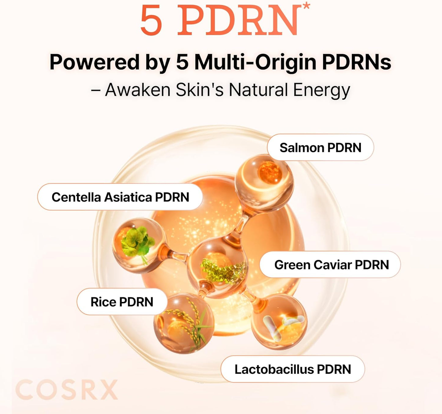 5 PDRN B5 Vital Soothing Toner - Αναζωογονητικό Toner για Λάμψη, Σύσφιξη & Καταπράυνση