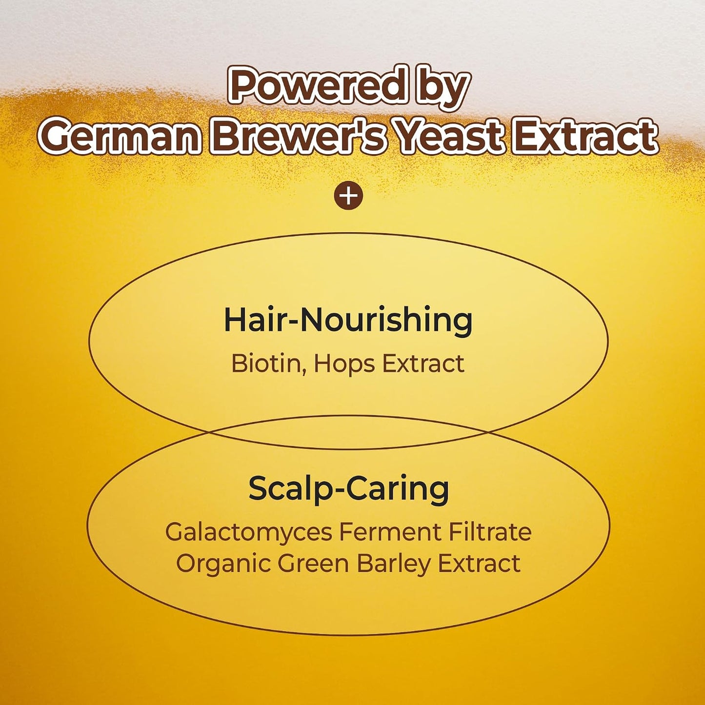 Beer Yeast Scalp Shampoo Herb Mint – Σαμπουάν Κατά της Τριχόπτωσης με Μαγιά Μπύρας & Μέντα για Υγιές Τριχωτό