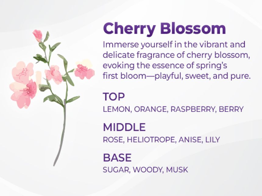 Honey & Macadamia Protein Treatment Cherry Blossom - Εντατική Θεραπεία Θρέψης & Επανόρθωσης Μαλλιών
